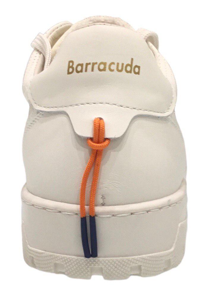 Scarpe Barracuda - BU3431