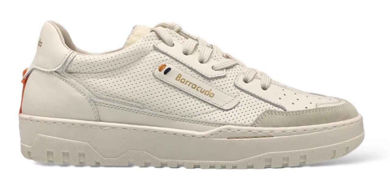 Scarpe Barracuda - BU3431